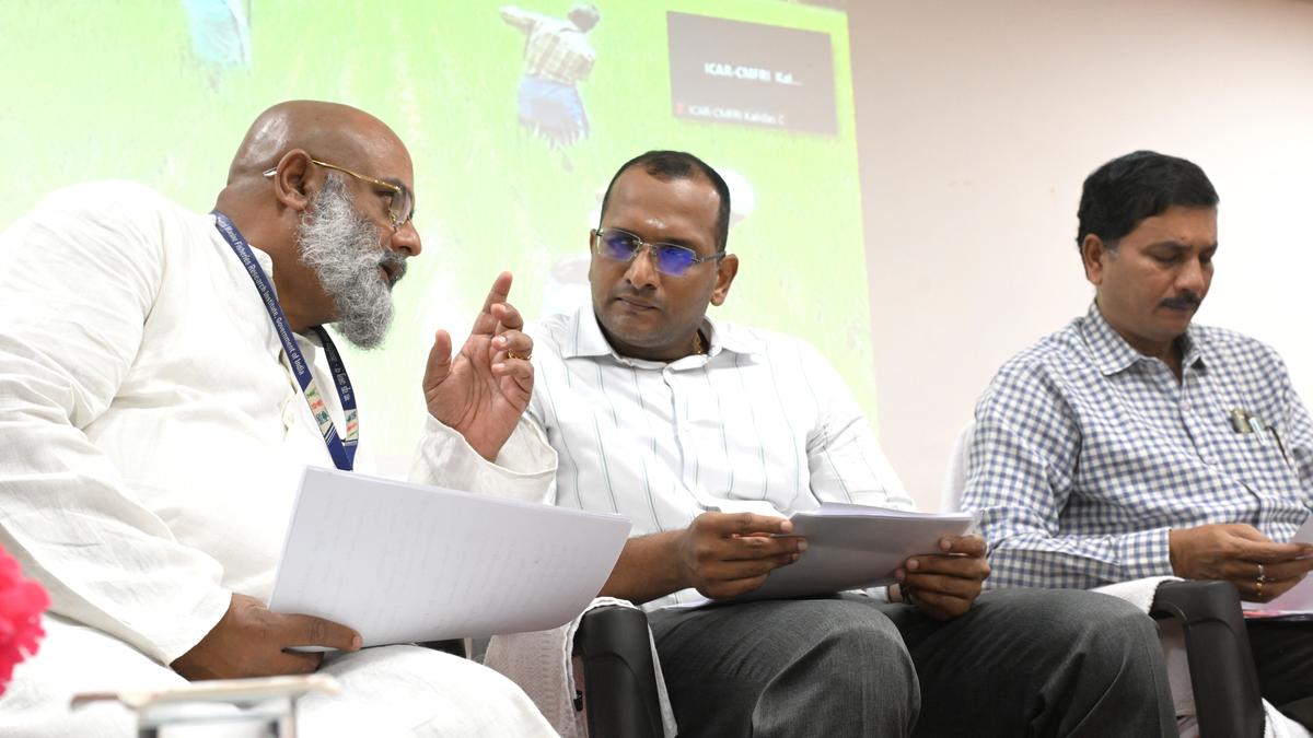 Workshop held to chart future for small-scale fisheries sector