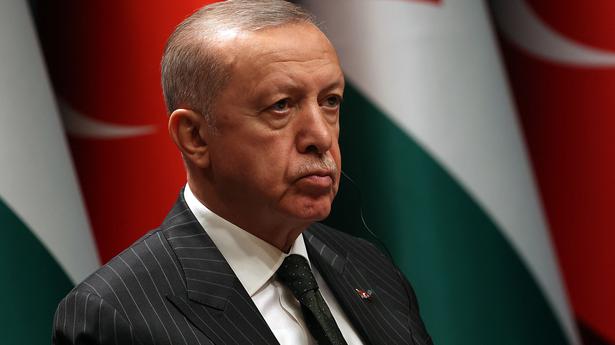 Turkey can mediate Ukraine nuclear power plant standoff, Erdogan tells Putin