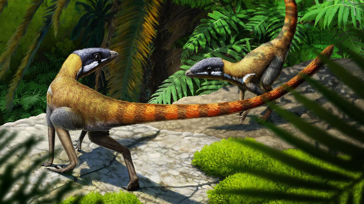 Puny critter shows beginnings of magnificent flying reptiles