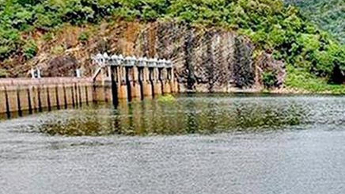 Water level in Papanasam dam stands at 59.70 feet Water level in Papanasam dam stands at 59.70 feet