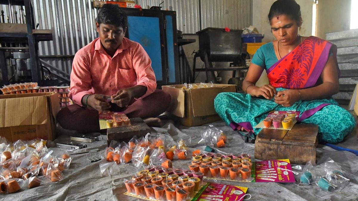 Youtube tutorials and a government scheme changes a brick kiln worker to a successful entrepreneur