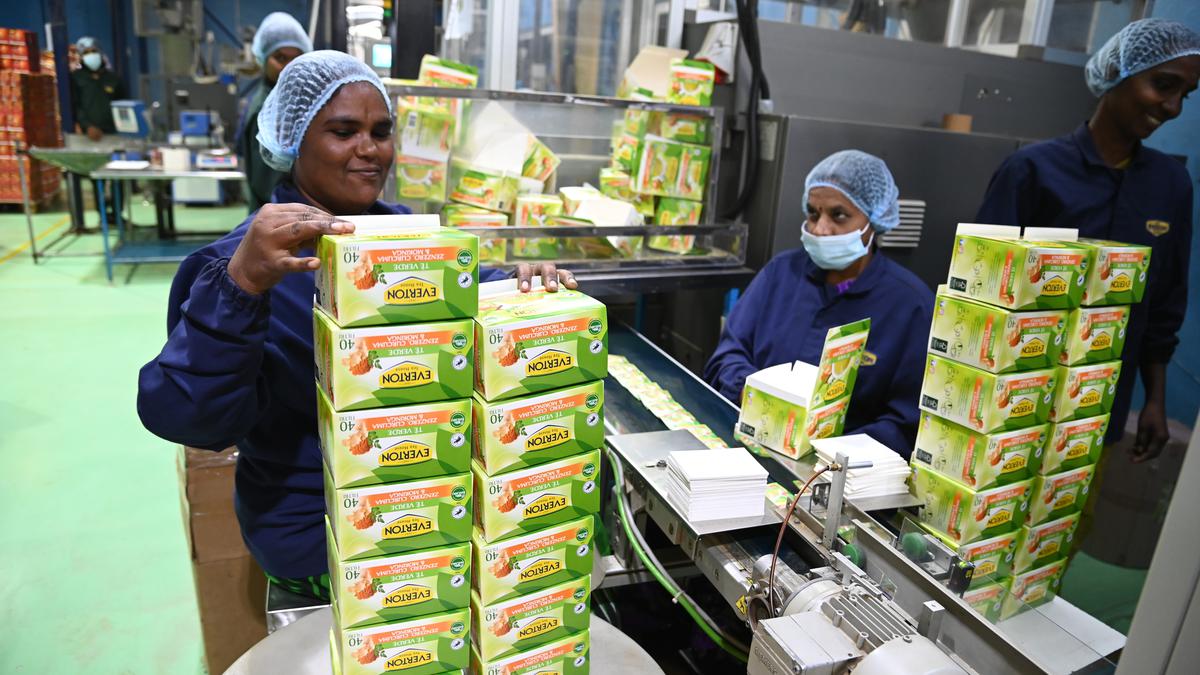 Over 75% of employees of Everton tea plant in Sri City are women - The ...