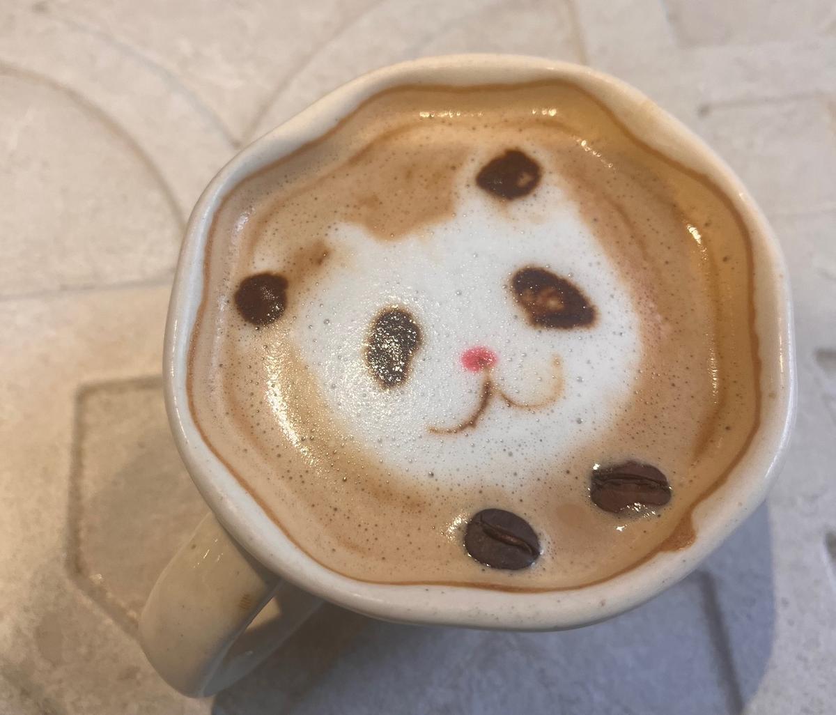 Latte Art featuring a kitten