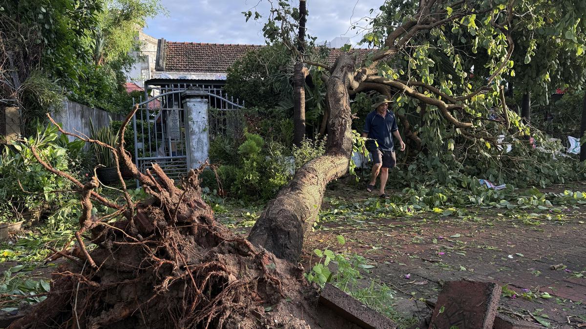 A man walks past an uprooted tree in Dak Lak, Vietnam, on November 7, 2025, after Typhoon Kalmaegi lashed the country with fierce winds and torrential rains. A man walks past an uprooted tree in Dak Lak, Vietnam, on November 7, 2025, after Typhoon Kalmaegi lashed the country with fierce winds and torrential rains.