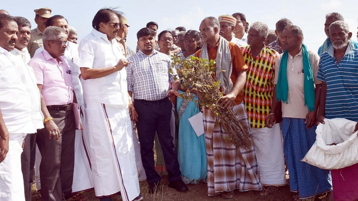 Aruppukottai block has suffered 7,000 acres of crop loss due to rain: Revenue Minister