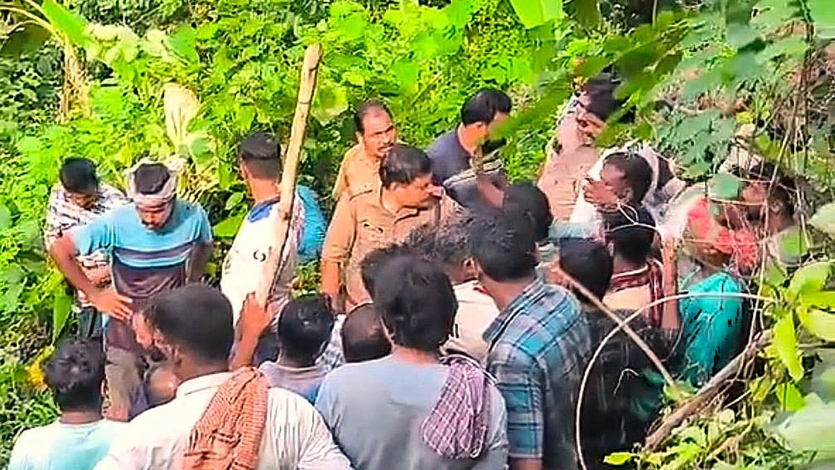 Man killed in tiger attack at Kalikavu