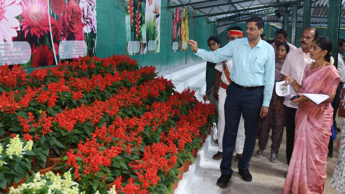 Arrangements in place for Yercaud Summer Festival and Flower Show
