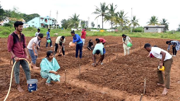 Agri students get a taste of village life in Arasikere taluk