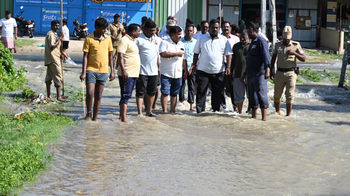 Heavy rain lashes Krishnagiri district; Collector inspects inundates areas