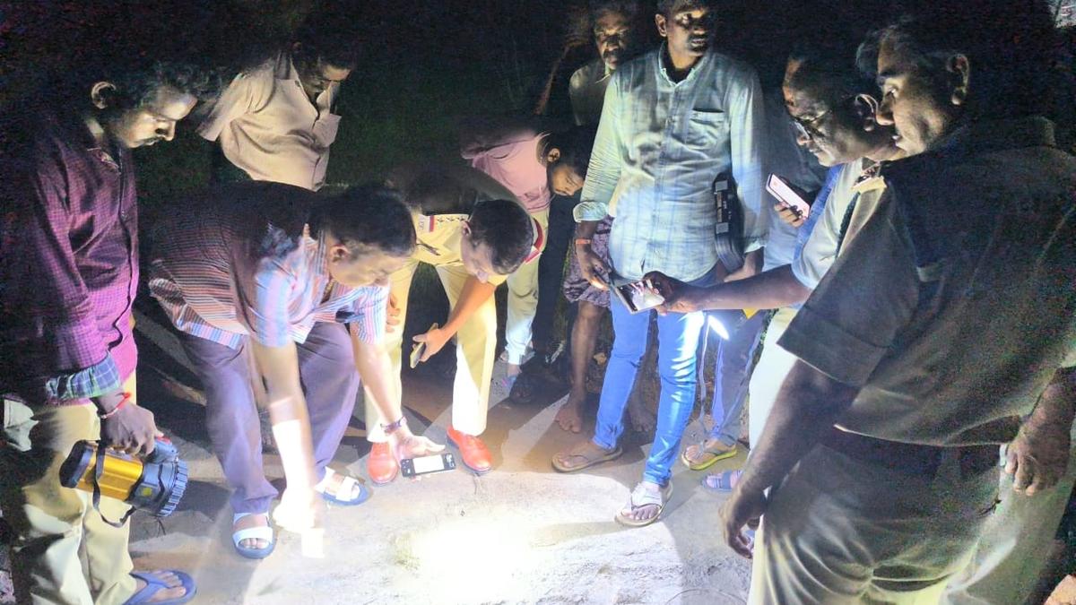 Leopard sighted in forests near Bhimadole in Eluru district in A.P.