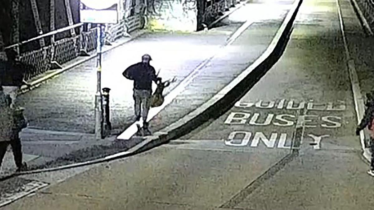 ब्रिटेन के संग्रहालय में ‘उच्च मूल्य’ की चोरी में चोरी हुई वस्तुओं में भारत की कलाकृतियाँ भी शामिल हैं ब्रिटेन के संग्रहालय में ‘उच्च मूल्य’ की चोरी में चोरी हुई वस्तुओं में भारत की कलाकृतियाँ भी शामिल हैं