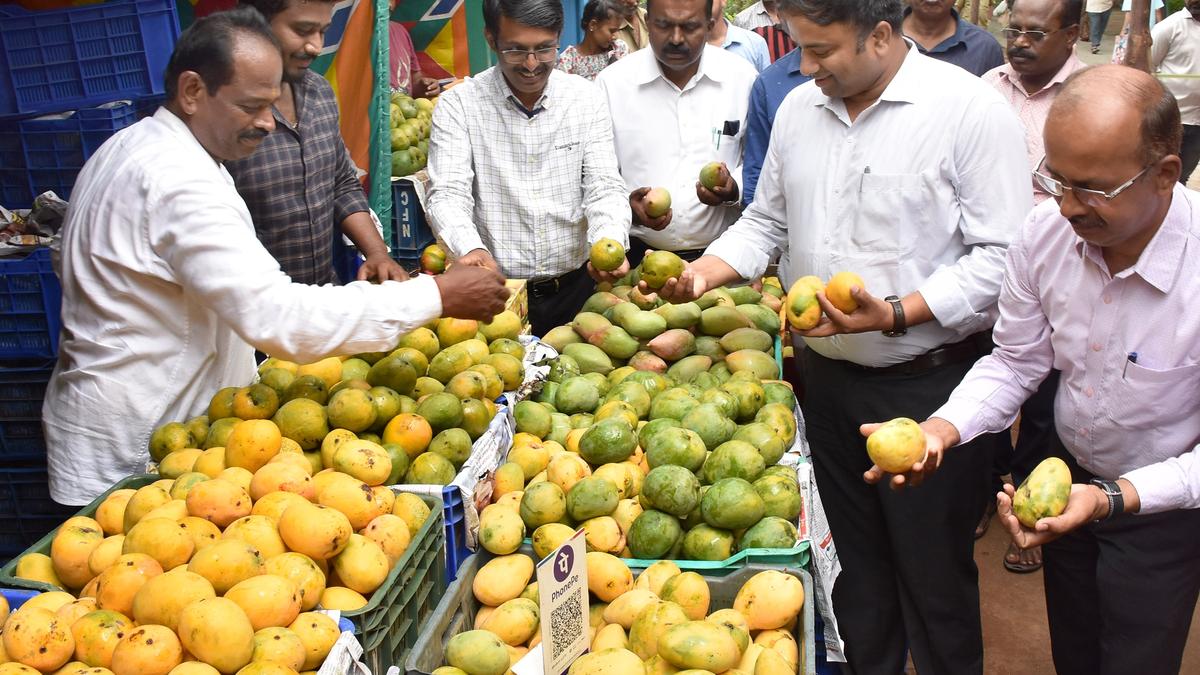 Mango and jackfruit mela gets off to start in Mysuru