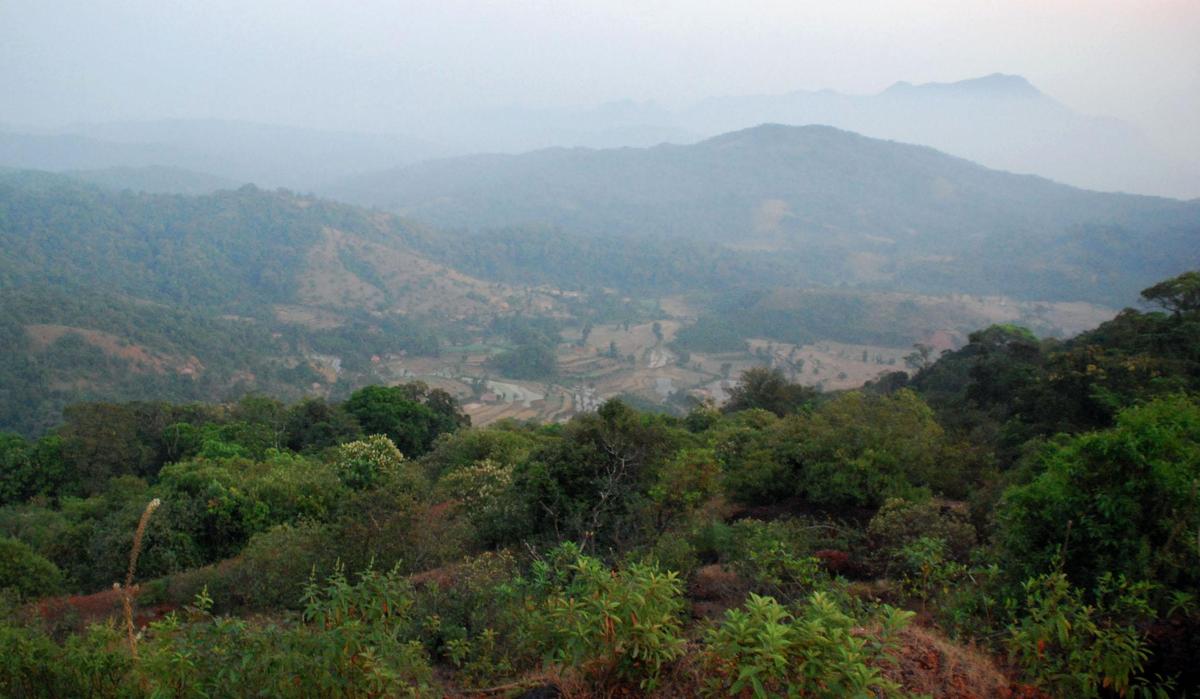 Diversion of forest land: State Wildlife Board recommends forwarding proposal to NBWL - The Hindu