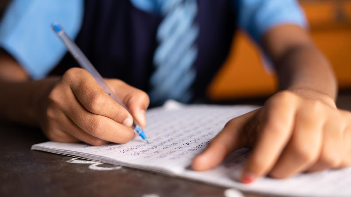 Schools can take time to use mother tongue as medium: CBSE officials