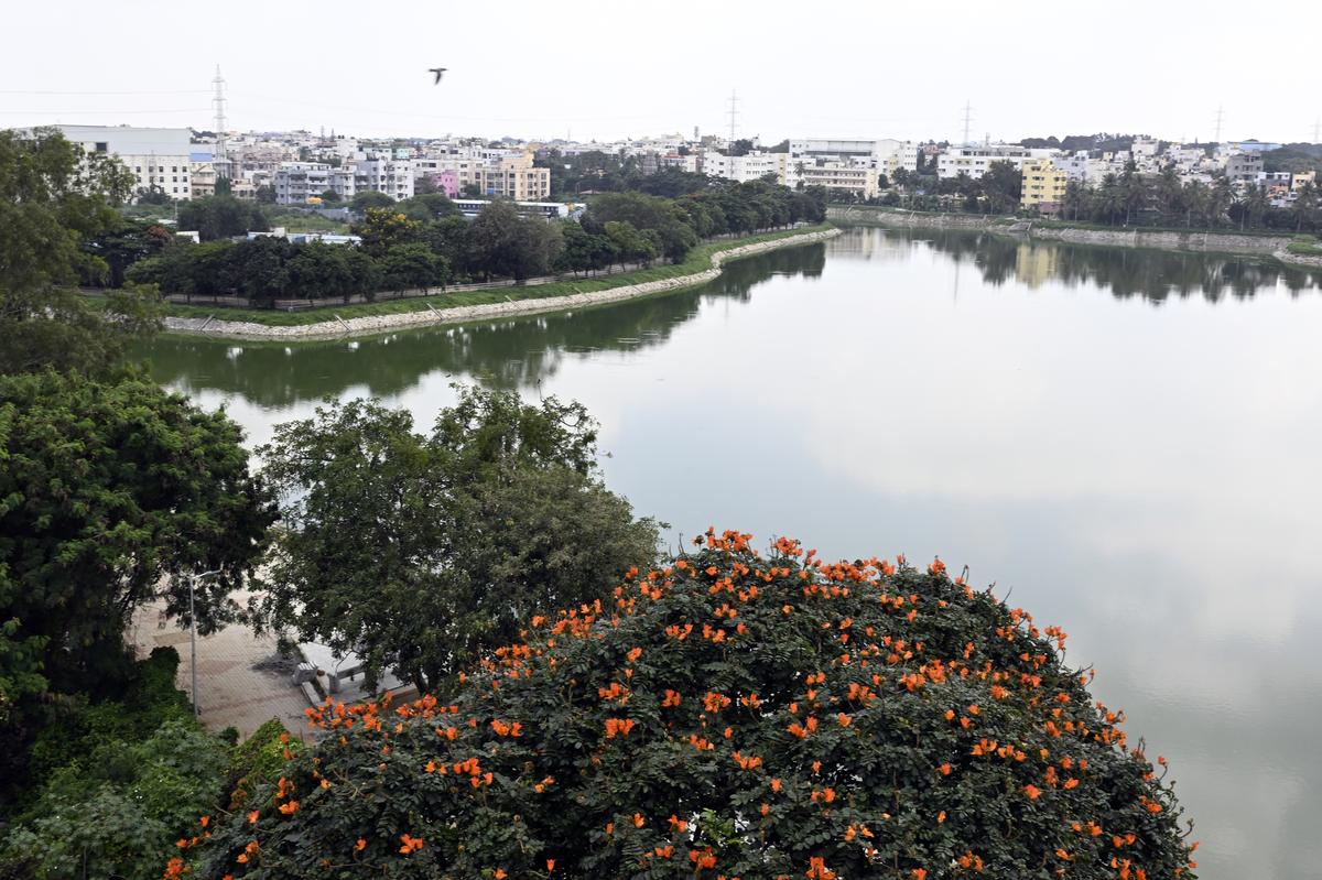 Buffering Karnataka's waterbodies - The Hindu