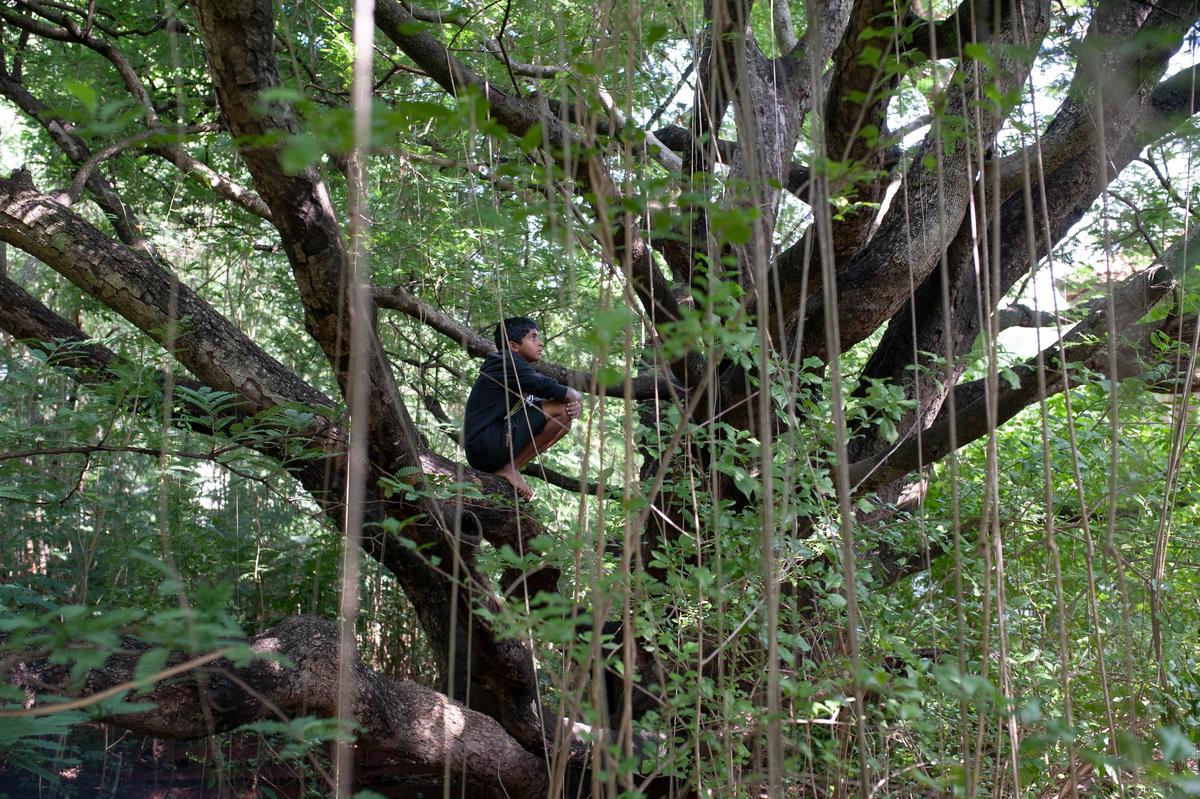 (Top) Aparna Nori; and her photobook ‘How to Climb a Tree’, which released this April.