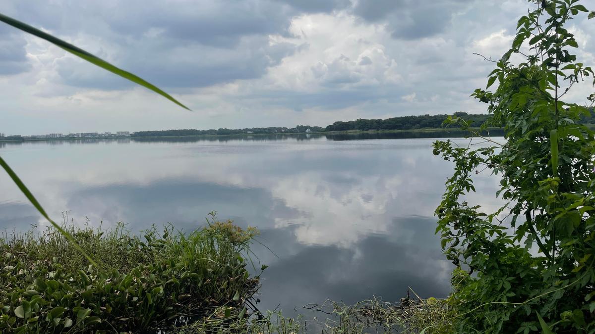 Bengaluru woman rescued by police seconds before drowning in Bellandur Lake