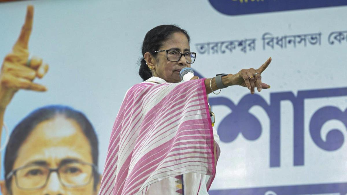 TMC dismisses reports of I-PAC halting WB operations, Mamata says party to give jobs to staffers if needed