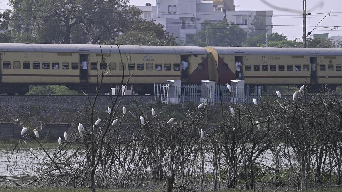 IMD forecasts hotter than normal summer season for Telangana from March to May