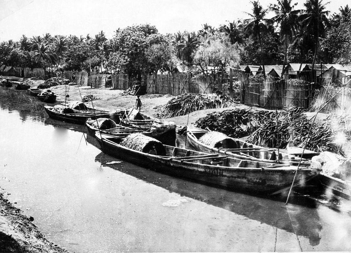 Once Upon A Time In Madras | Boats, Coracles, And An Island - The Hindu