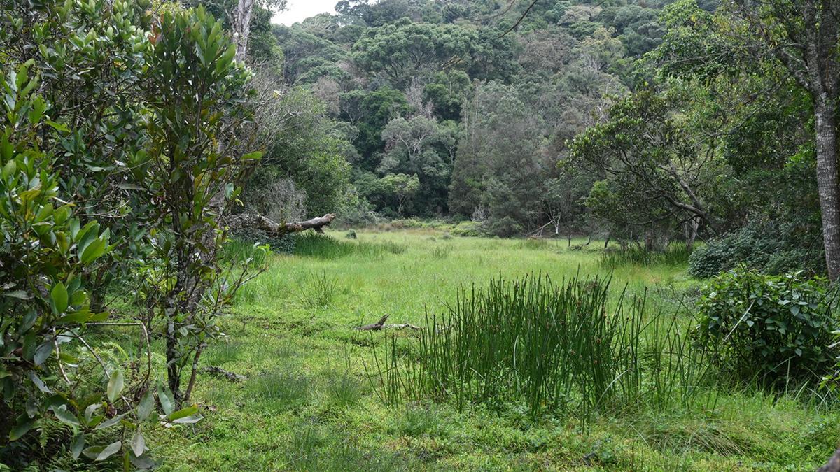 T.N. gets two more Ramsar sites; tops the country with 16 sites