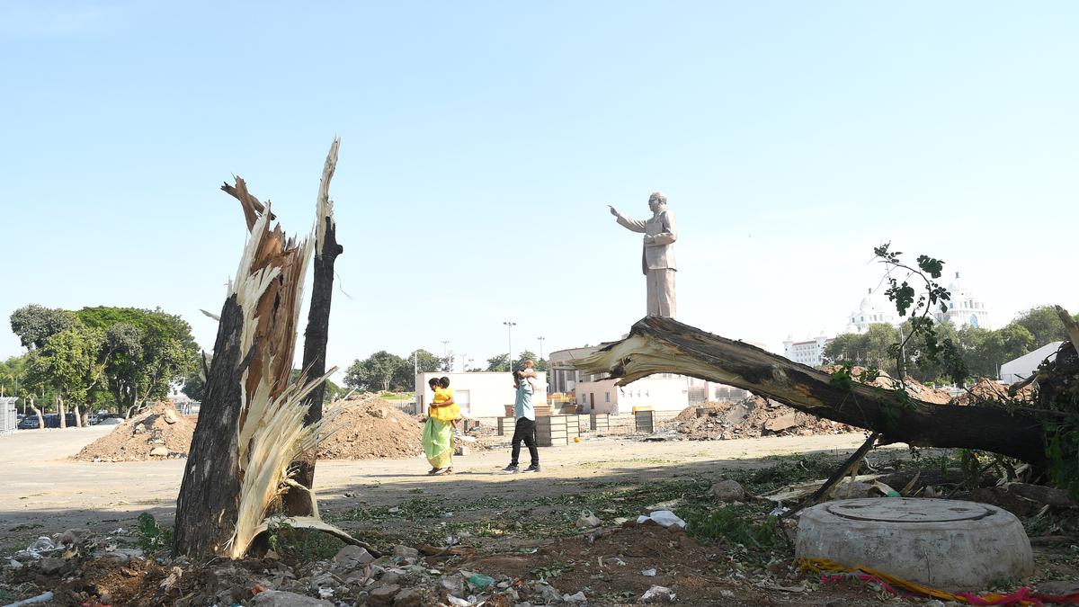 Trees felled for Formula-E racing event