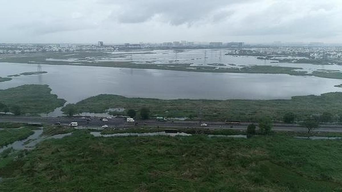 Pallikaranai marshland dispute: Tamil Nadu is the only State to declare as many as 20 Ramsar sites, Madras High Court told