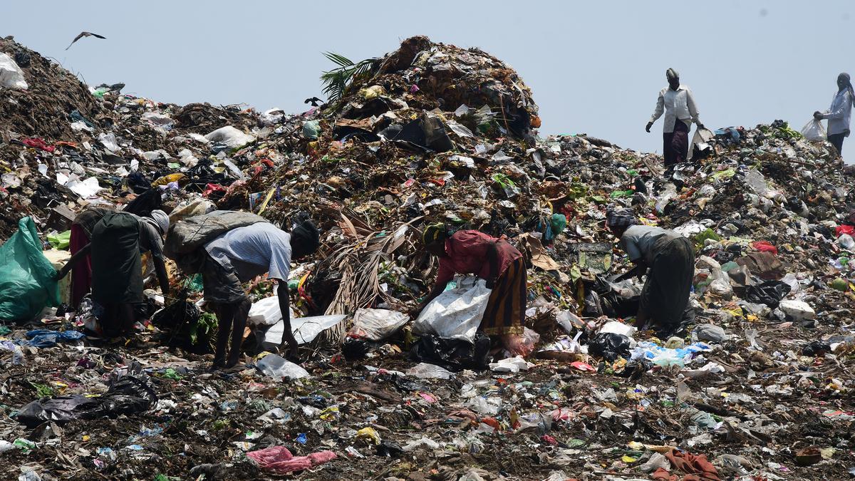 Chennai Corporation identifies 1,435 bulk waste generators