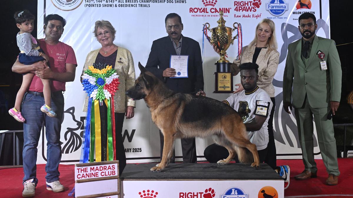 Madras Canine Club’s dog shows draw to a close