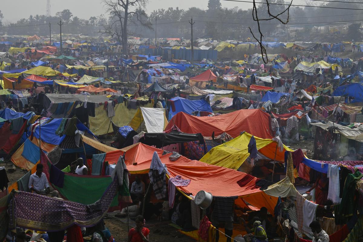 तेलंगाना के मुलुगु जिले के मेदाराम गांव में सम्मक्का-सरलम्मा महा जतरा में शामिल होने वाले भक्तों ने गुरुवार (29 जनवरी, 2026) को अस्थायी तंबू की व्यवस्था की।
