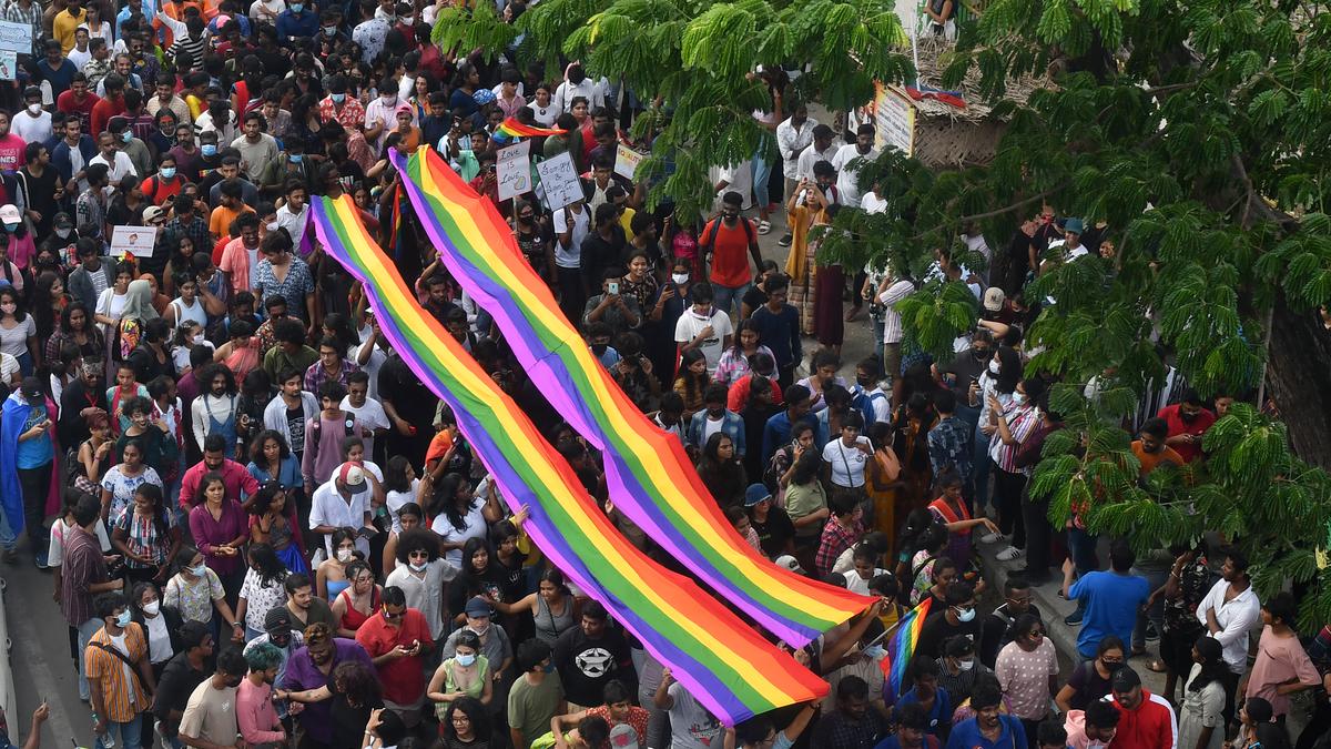 Provide reservations for transgender persons in local body polls, Madras High Court directs Tamil Nadu government