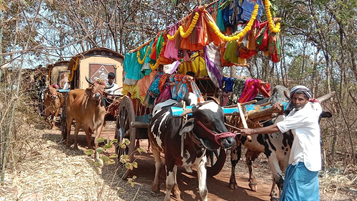 Call for more farmers to join millet cultivation