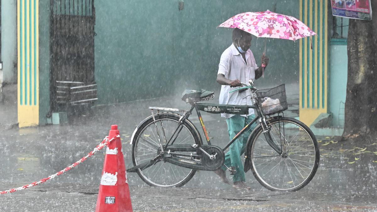 15 deaths reported due to rains in Tamil Nadu: State government