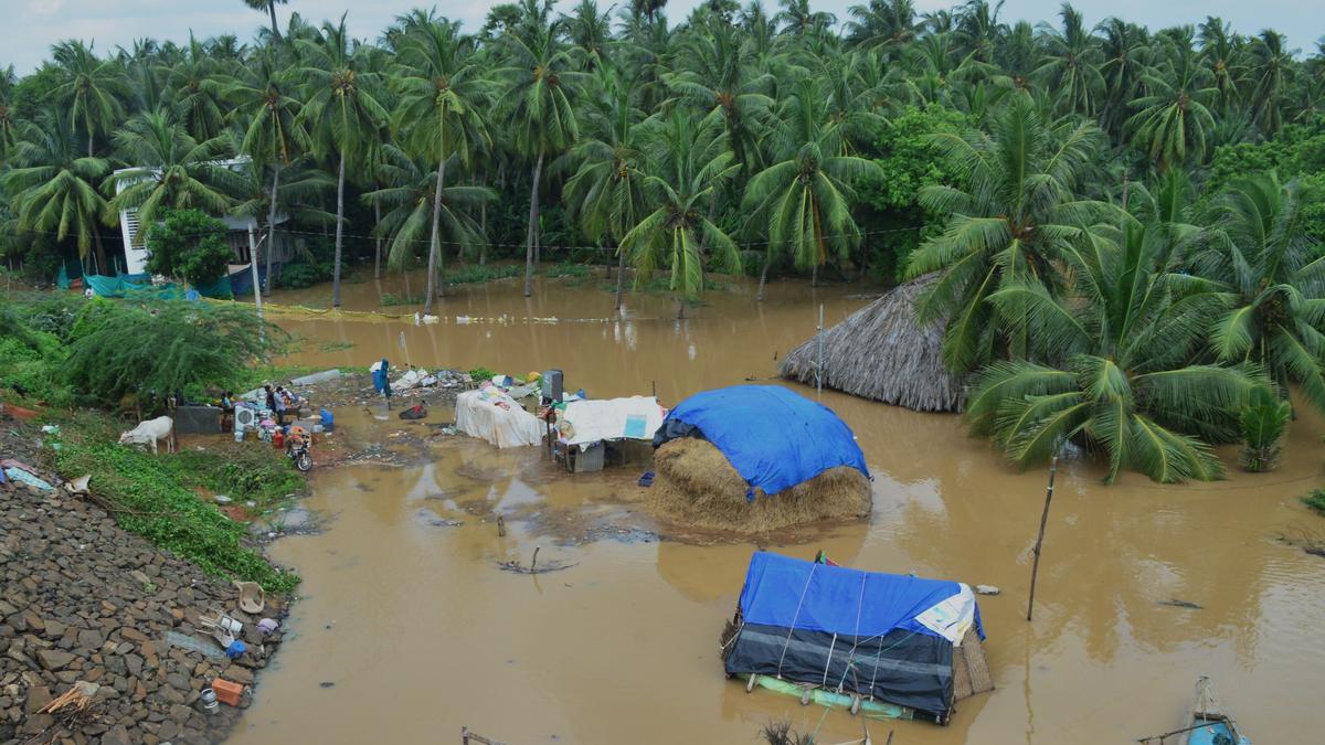 Konaseema officials adopt ‘hay strategy’ to check cattle loss during Godavari floods
