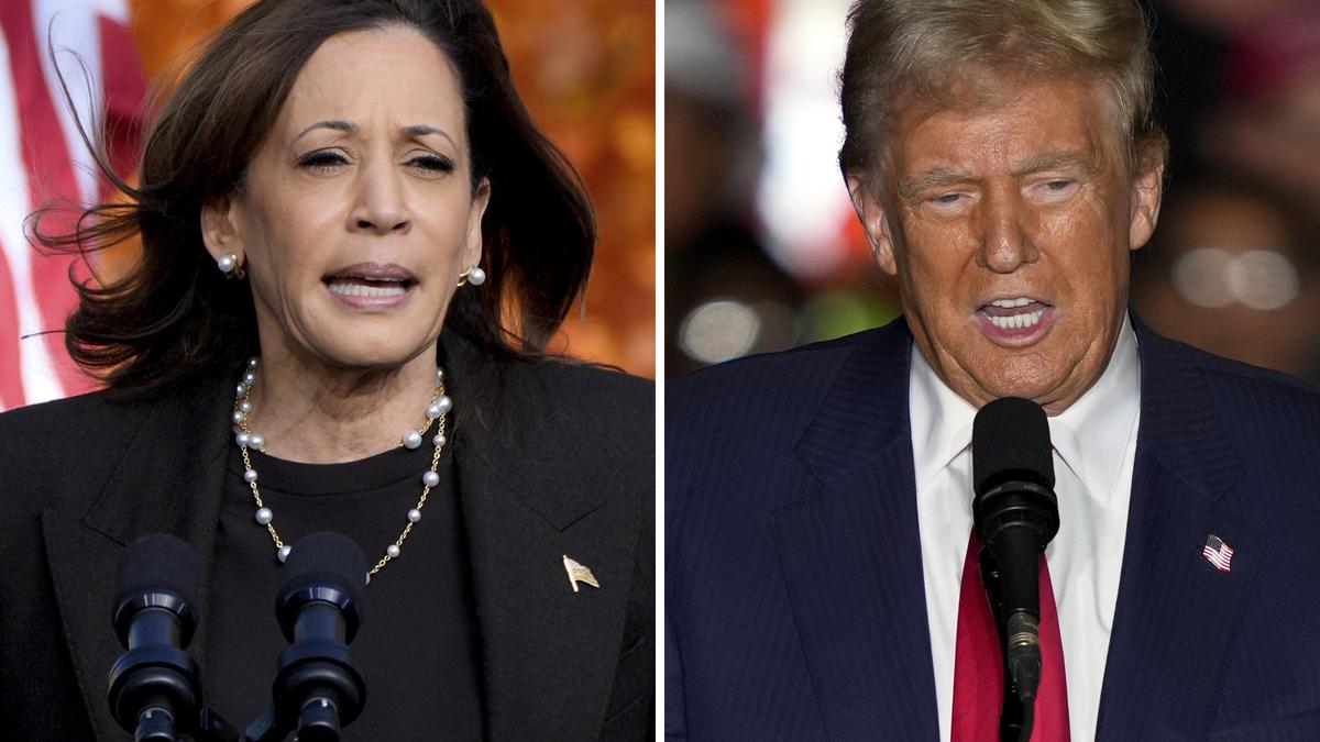 News Analysis: Trump gains among young men, Harris seeks votes from women, Republicans