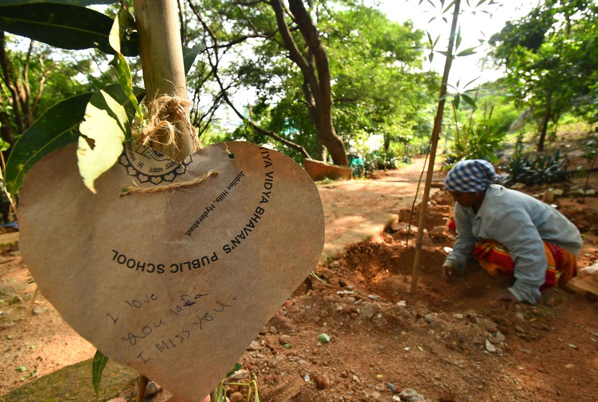 Sommige planten hebben hartvormige tags met berichten geschreven door vrienden en familieleden van COVID-19-slachtoffers