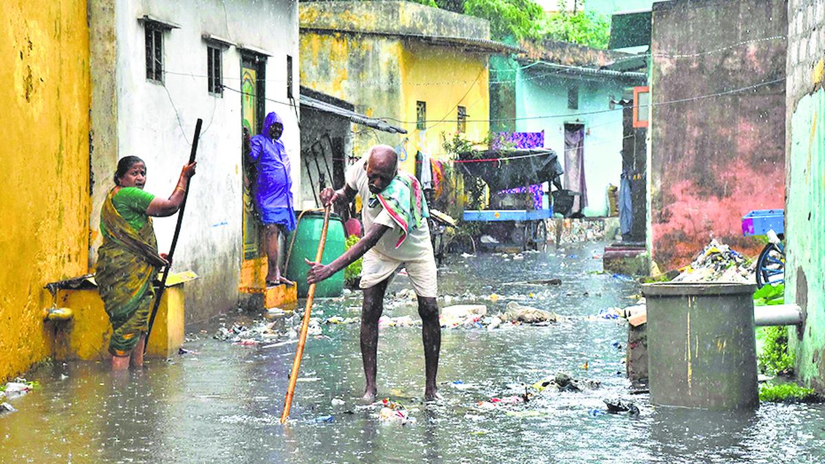Rain damage estimated at ₹53 crore in Nellore