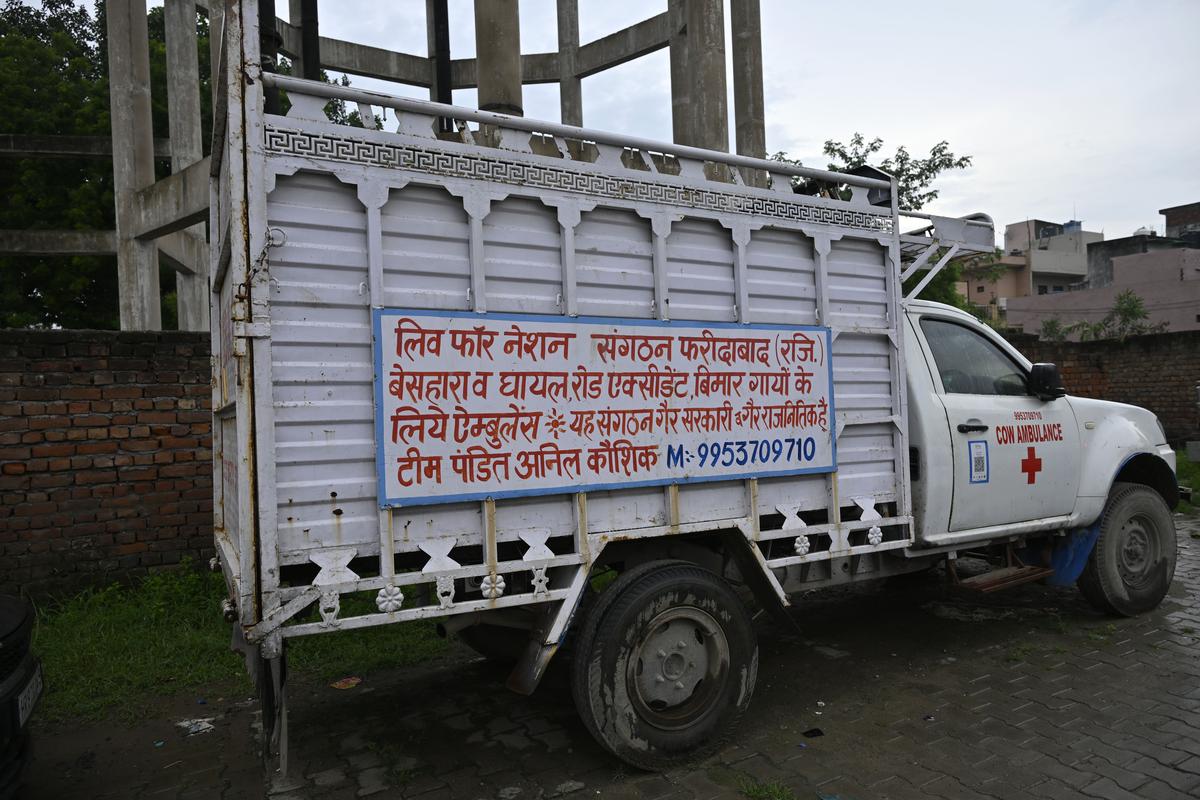 A van which the cow vigilantes use to ferry injured cows to hospital or to chase alleged smugglers.