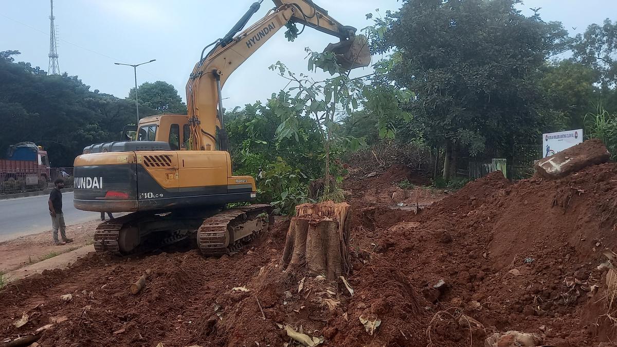 NHAI continues translocation of trees on KPT-Paduva NH 66 stretch