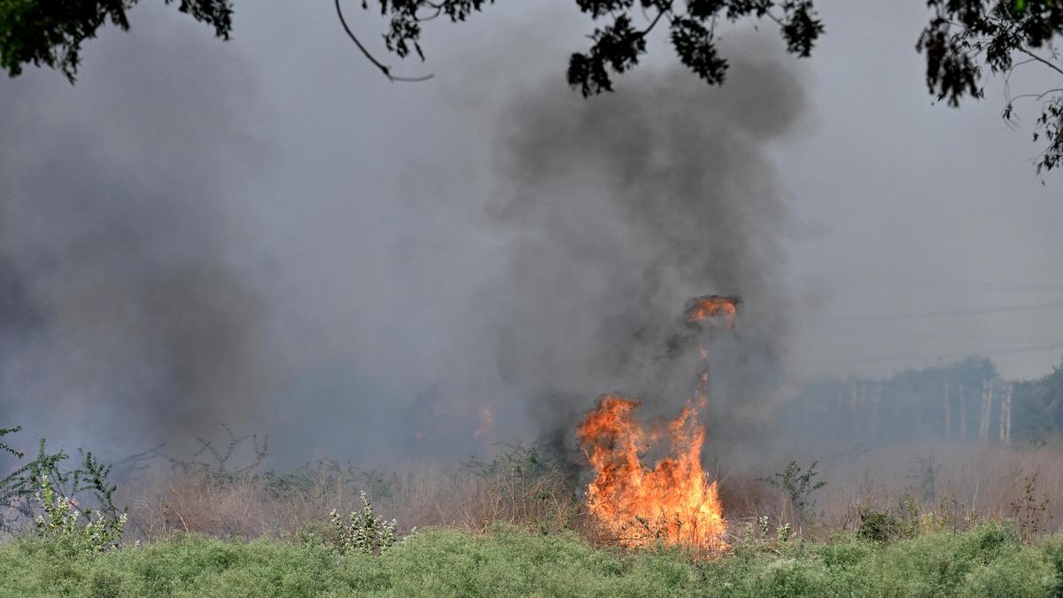 Increase in farm fires: CAQM orders stricter enforcement in NCR