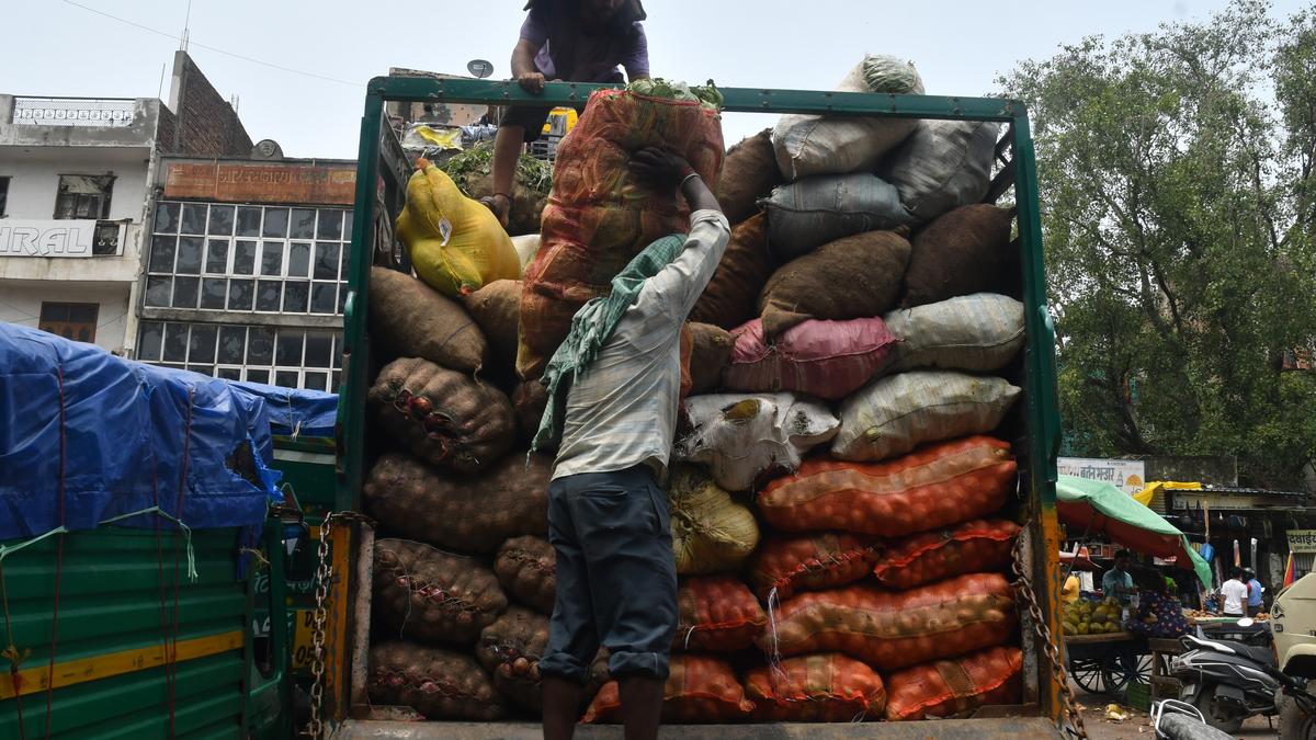 Tomato prices spike again on tight supply; Mother Dairy stores selling at ₹259/kg