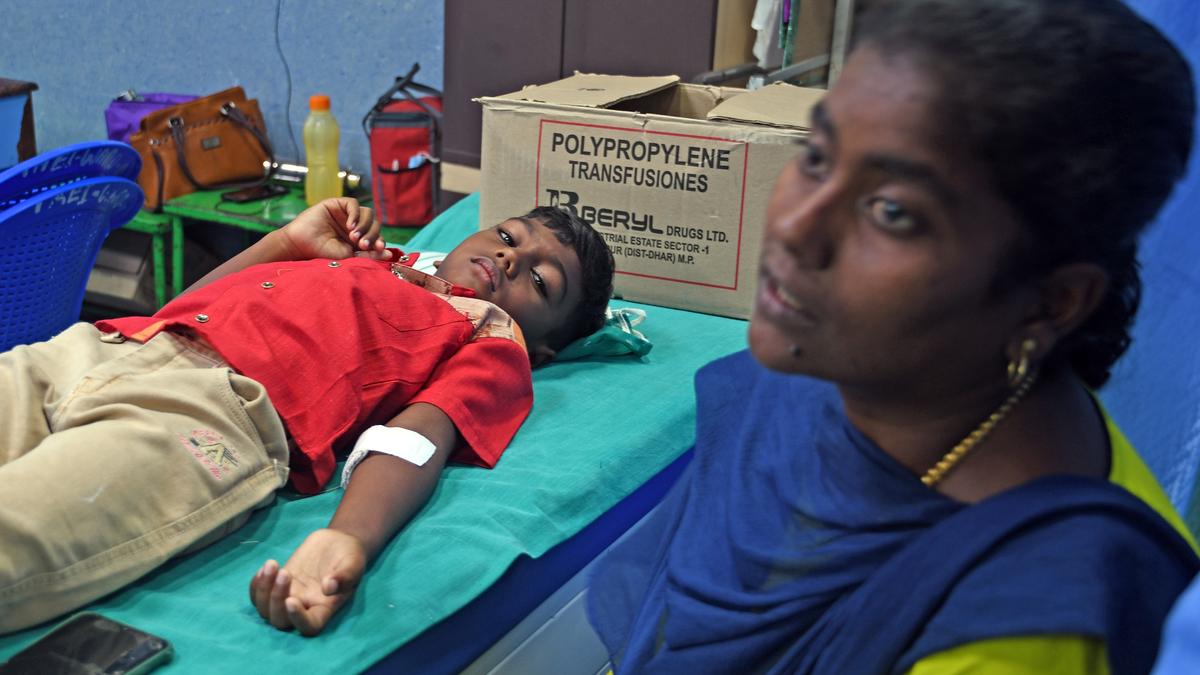 Rabid dog goes on biting spree near Vilathikulam