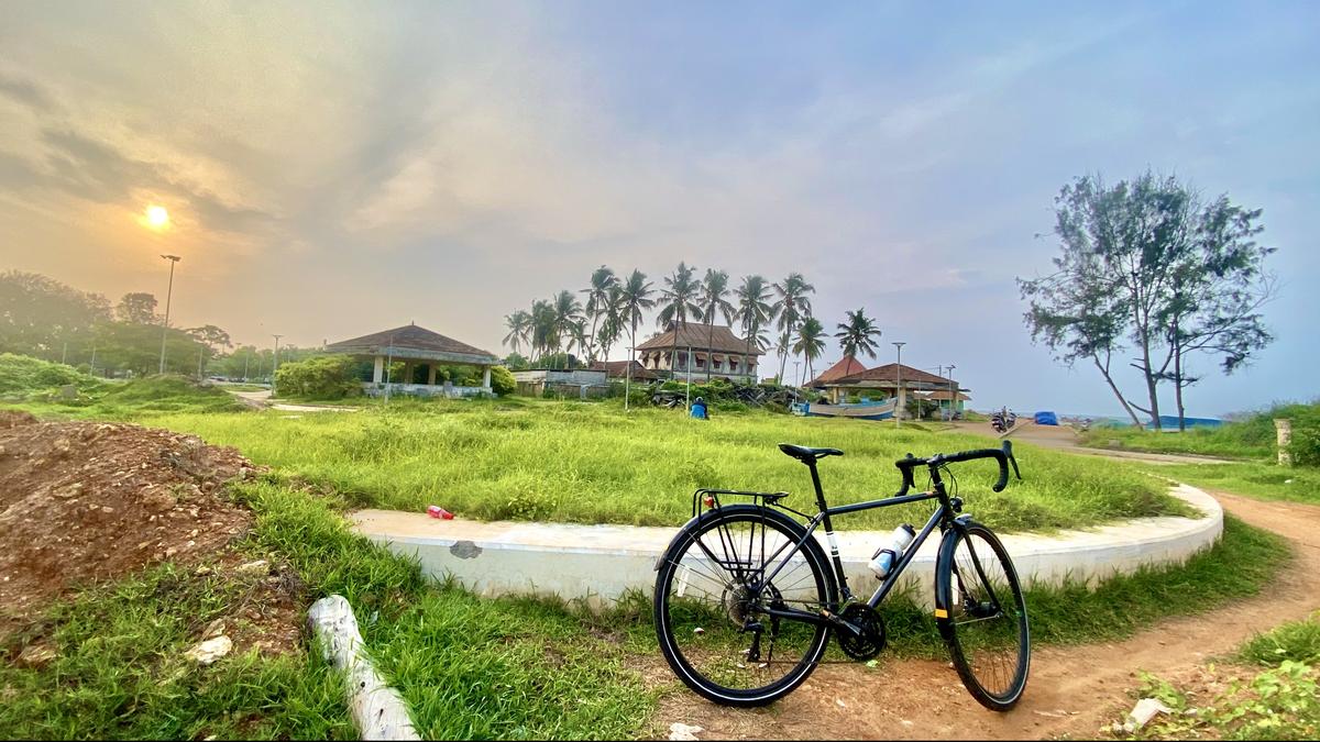 Bicycles are the wheels for the planet, say cycling enthusiasts