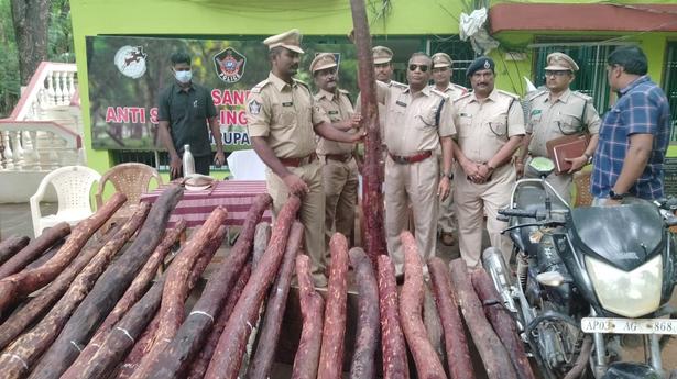 30 red sanders logs seized, 2 arrested