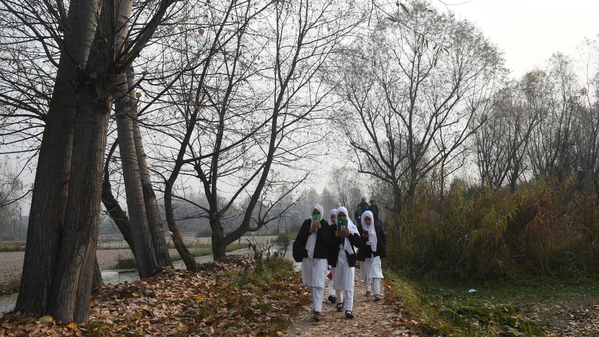 Why is there a drop in school enrolments? | Explained