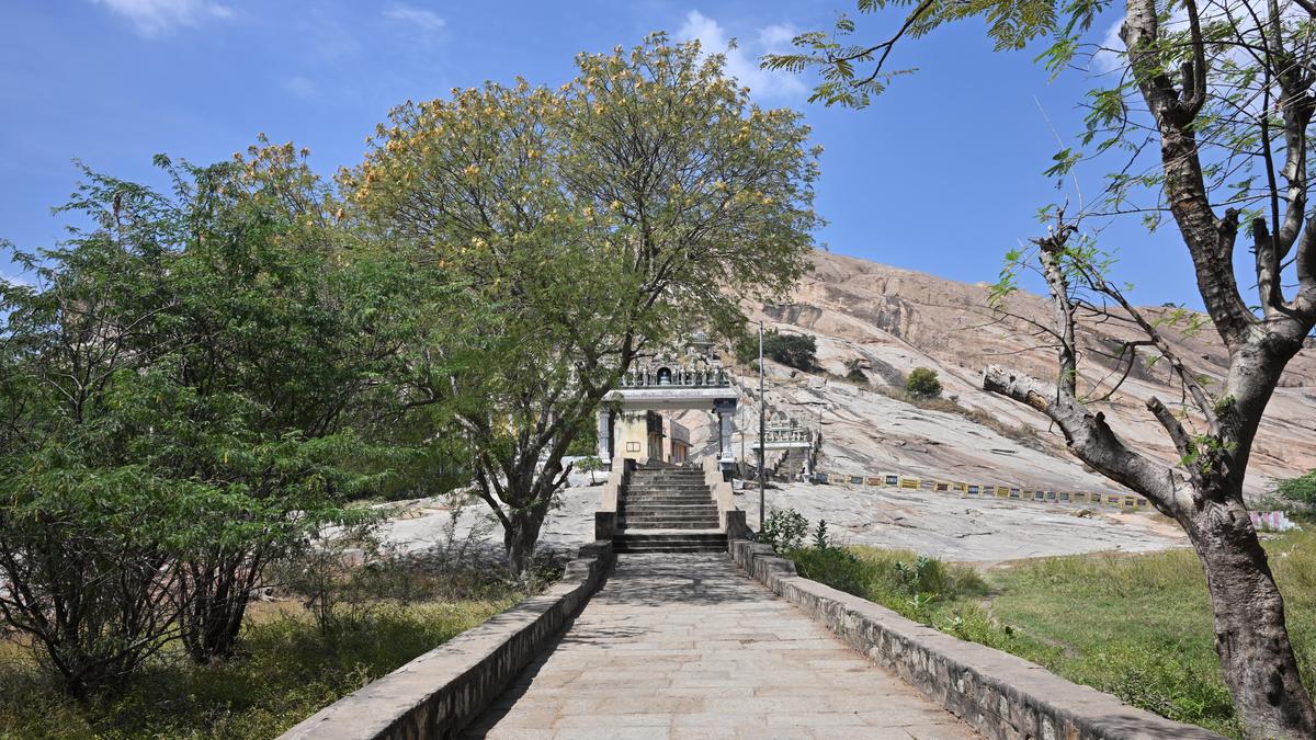 Thirupparankundram row: T.N. government to appeal in Supreme Court against Madras HC order, says Minister Regupathy