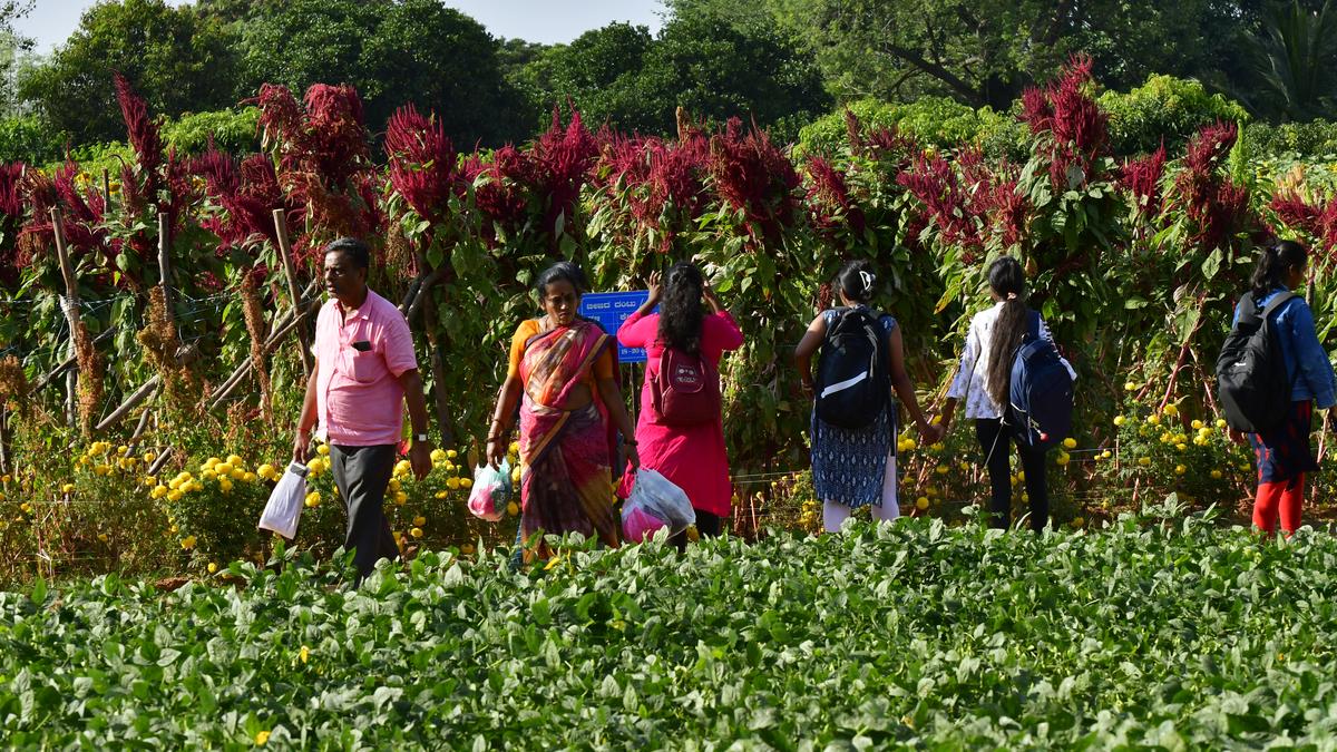 Krishi Mela to be held from November 14 to 17 under the theme ‘Climate Smart Digital Agriculture’ 