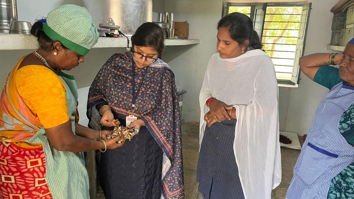 Food safety teams inspect hostels across Hyderabad and districts