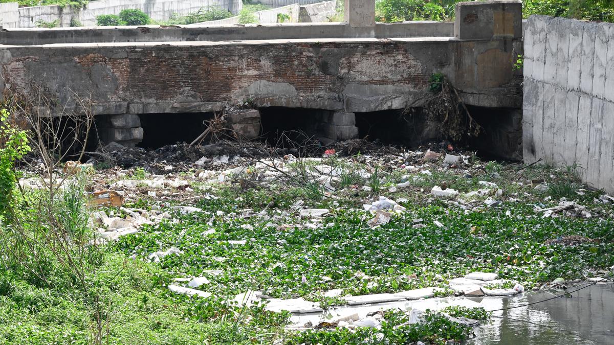 Plastic waste chokes Perumpallam Canal in Erode