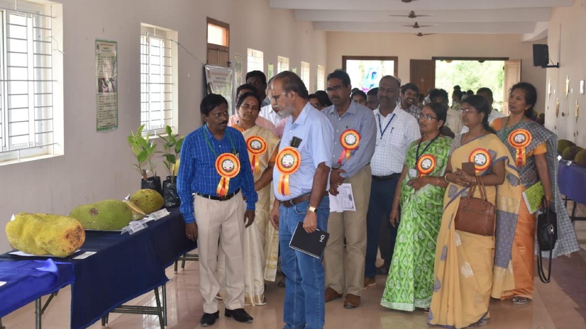 Jackfruit diversity show draws students, farmers alike